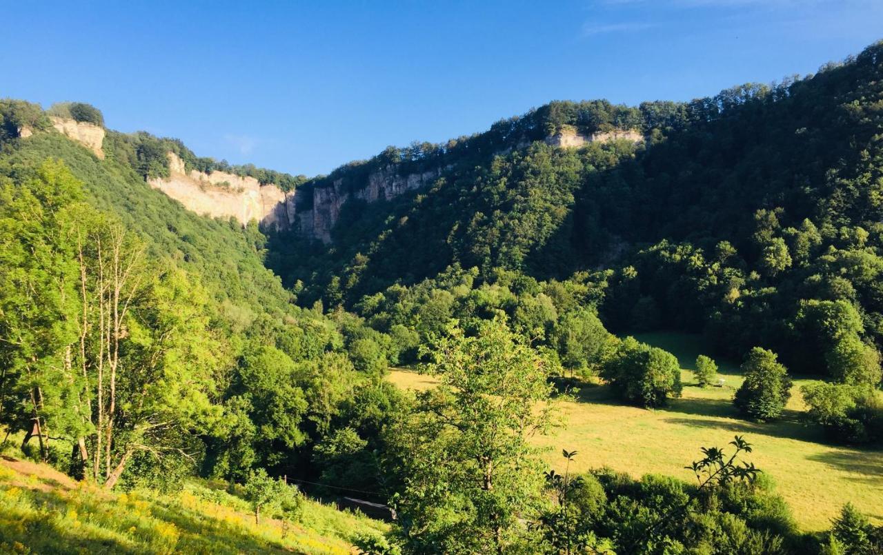 Gite Des Reculees Ladoye-sur-Seille Kültér fotó