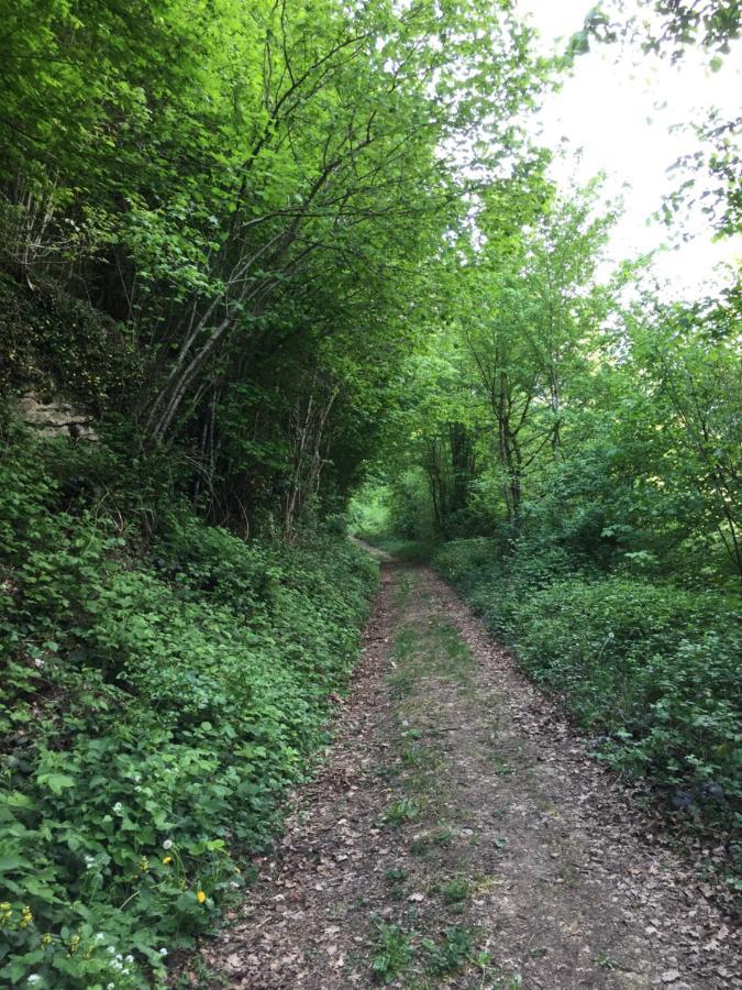 Gite Des Reculees Ladoye-sur-Seille Kültér fotó