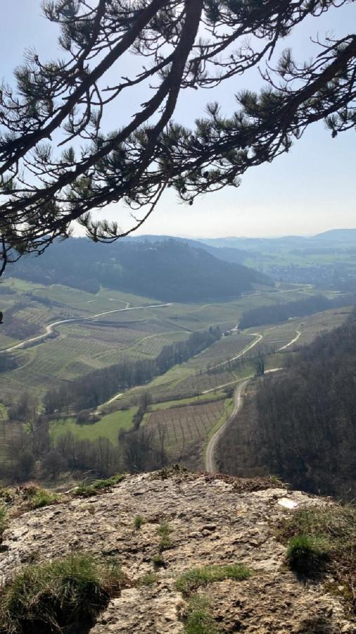 Gite Des Reculees Ladoye-sur-Seille Kültér fotó